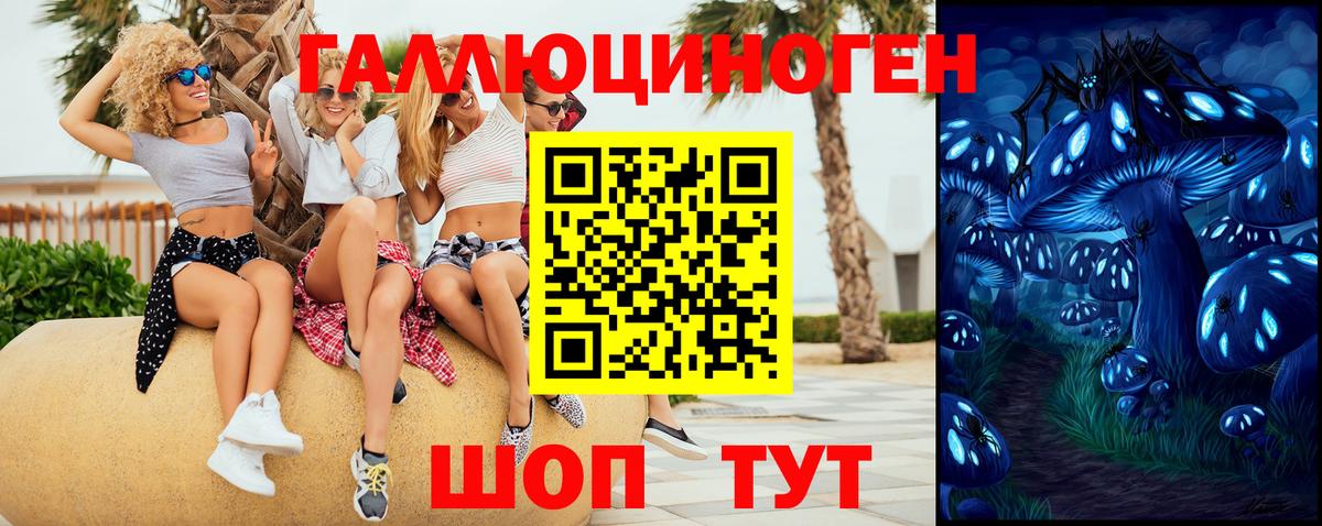 Псилоцибиновые грибы Magic Shrooms Сунжа